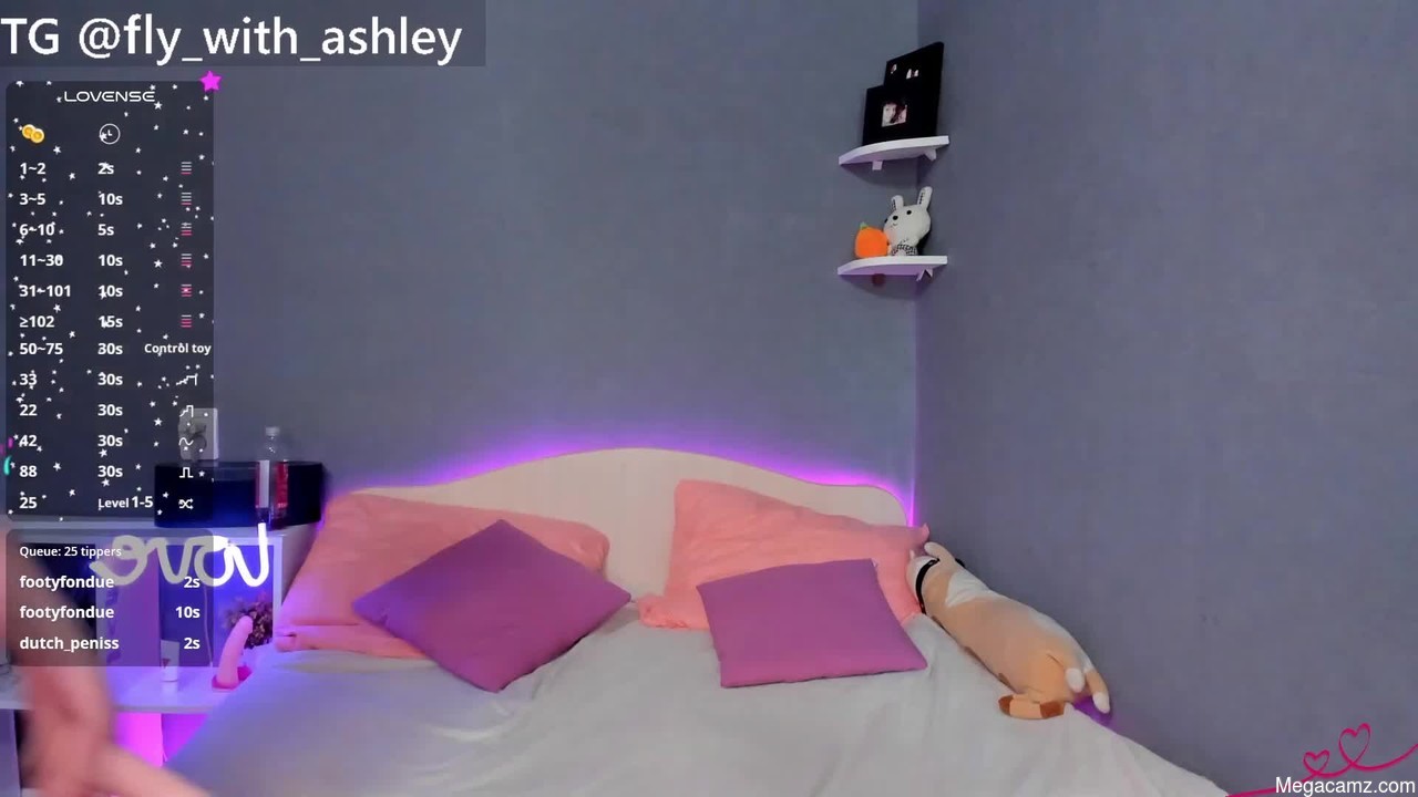 Ashley_lovestory